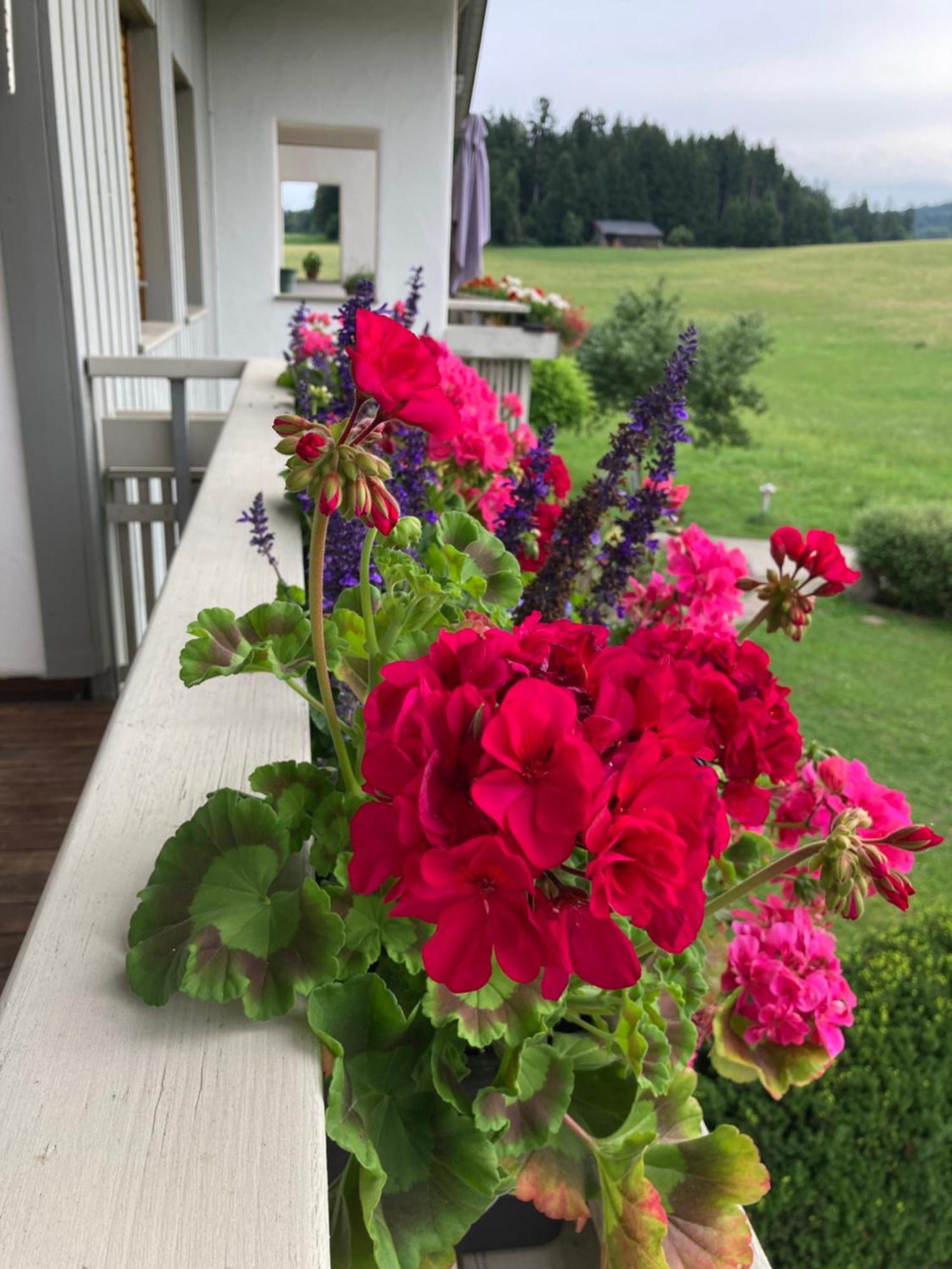 Ferienwohnungen Allgaeu-Bodensee Зигмарсцелль Экстерьер фото